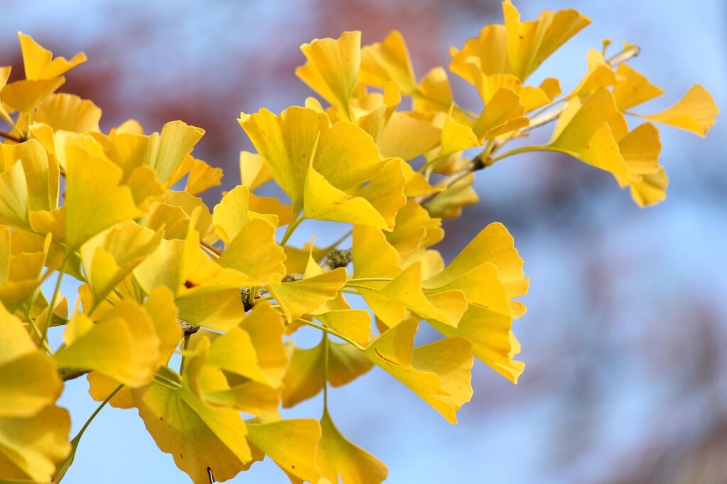 不動産クラファンに10万円で投資するメリットは？
